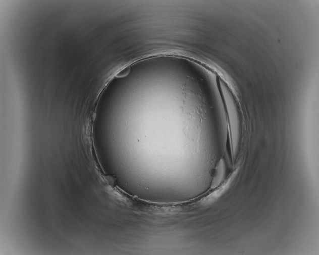 X0000115801001200911201354