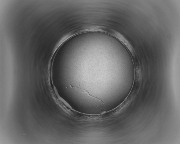 X0000115801002200911201354