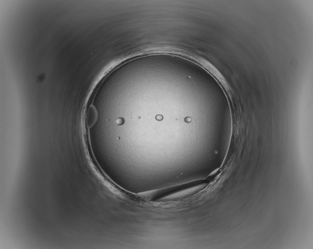 X0000115801005200911201354