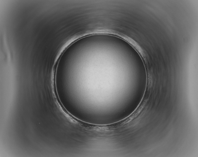 X0000115801006200911201354
