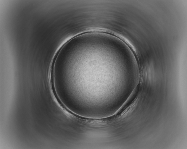 X0000115801007200911201354