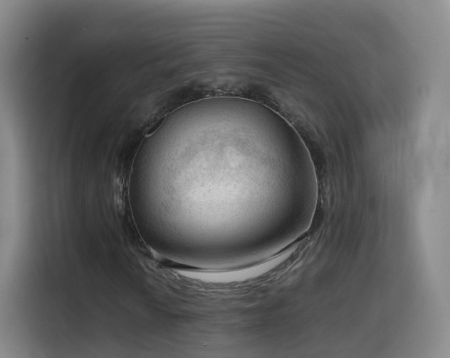 X0000115801010200911201353