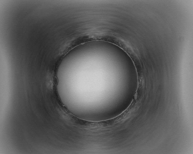 X0000115801012200911201353
