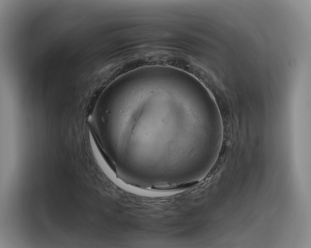 X0000115801013200911201353