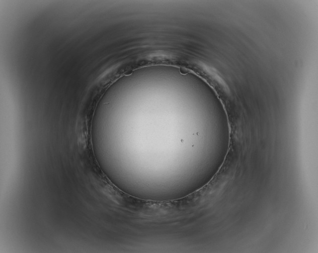 X0000115801015200911201353