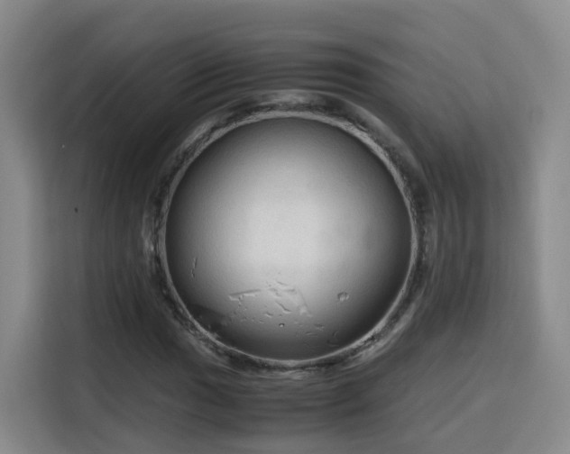 X0000115801017200911201353