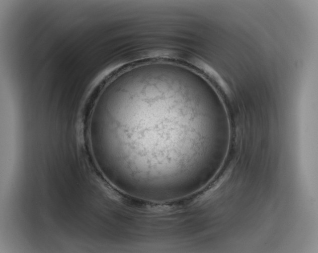 X0000115801019200911201353