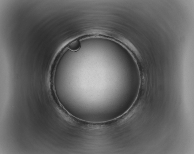 X0000115801020200911201353