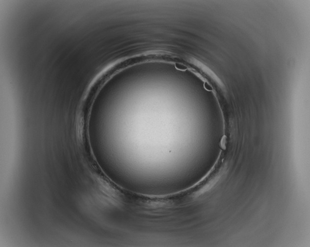 X0000115801021200911201353