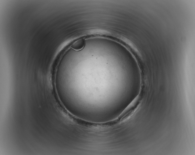 X0000115801022200911201353