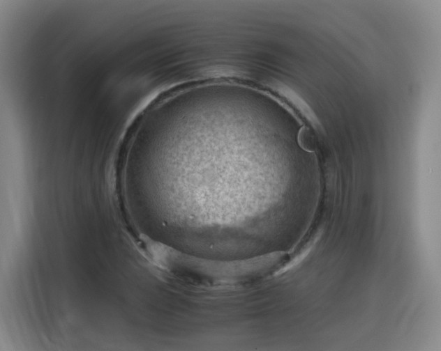 X0000115801023200911201353