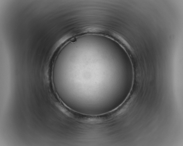X0000115801026200911201353