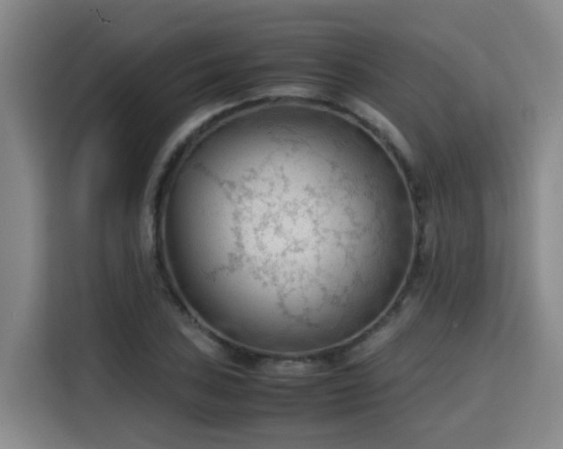 X0000115801027200911201353
