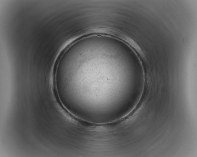 X0000115801028200911201353