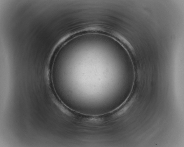 X0000115801029200911201353