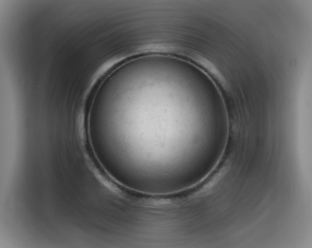 X0000115801030200911201353