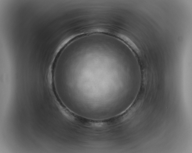 X0000115801031200911201353