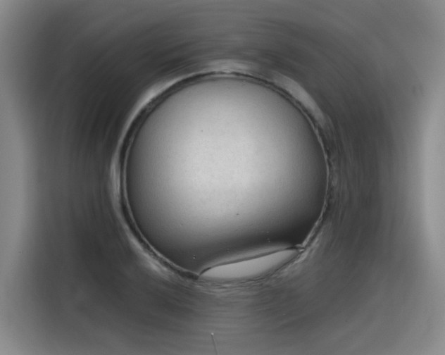 X0000115801032200911201353