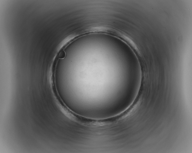 X0000115801034200911201354