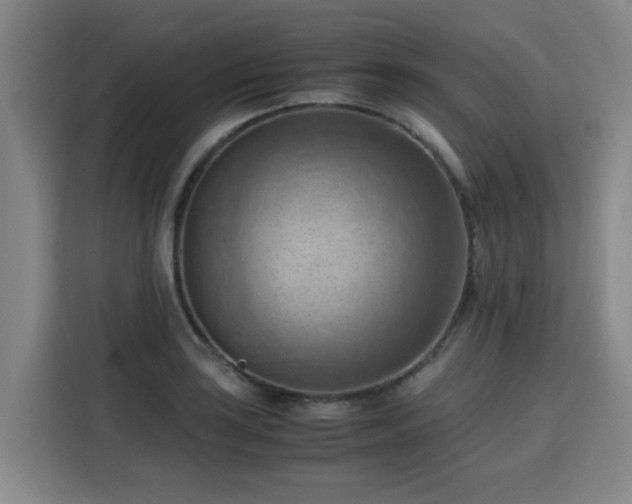 X0000115801035200911201354