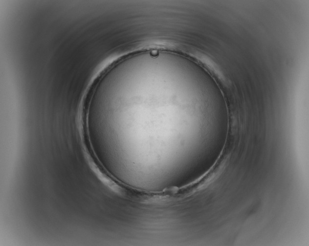 X0000115801038200911201354