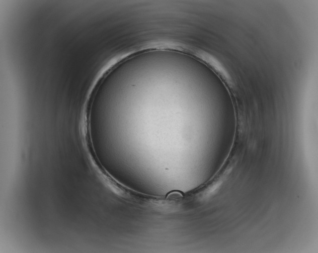 X0000115801040200911201354