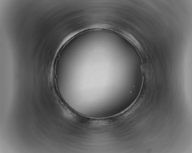X0000115801044200911201354