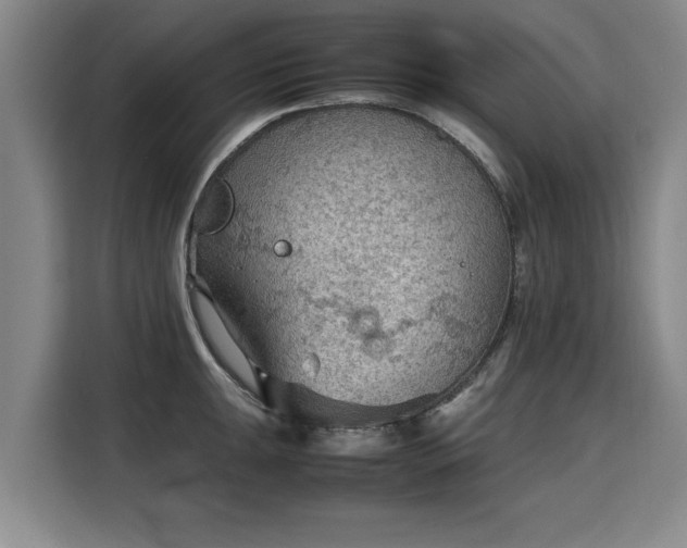 X0000115801047200911201354