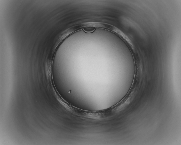 X0000115801049200911201354