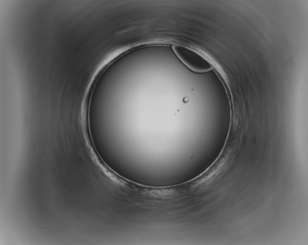 X0000115801053200911201354