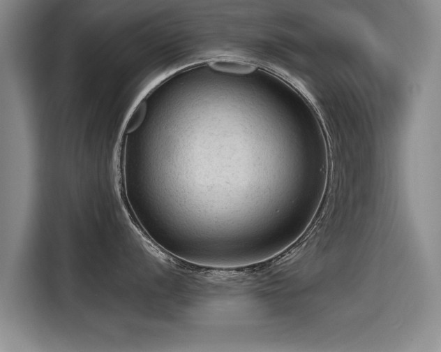 X0000115801056200911201354