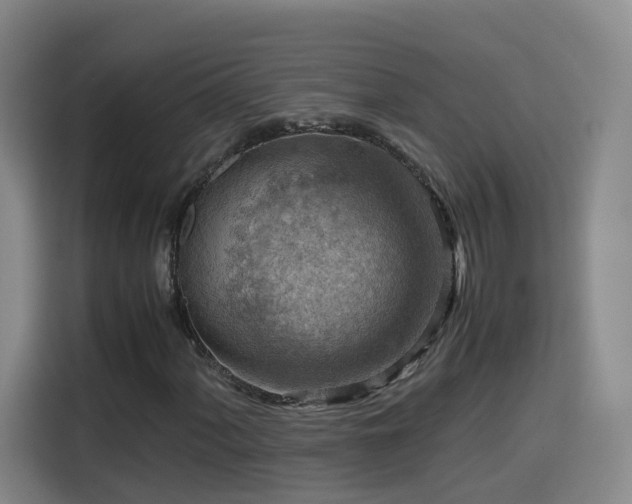 X0000115801060200911201353