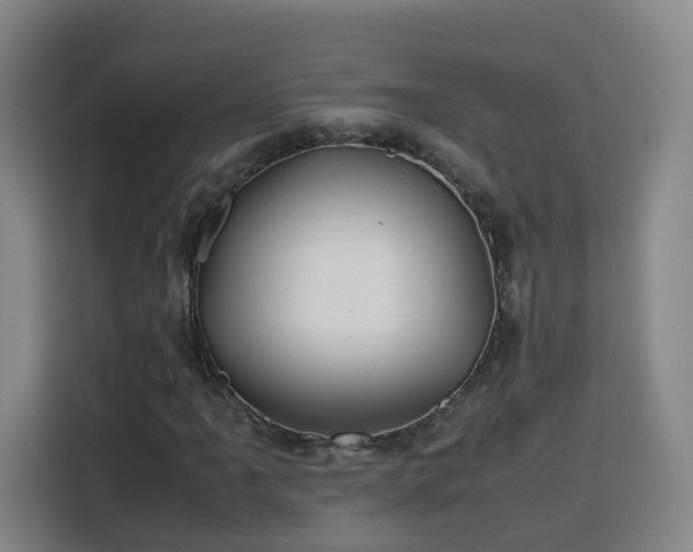 X0000115801061200911201353