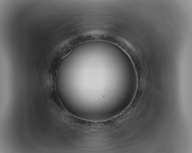 X0000115801062200911201353