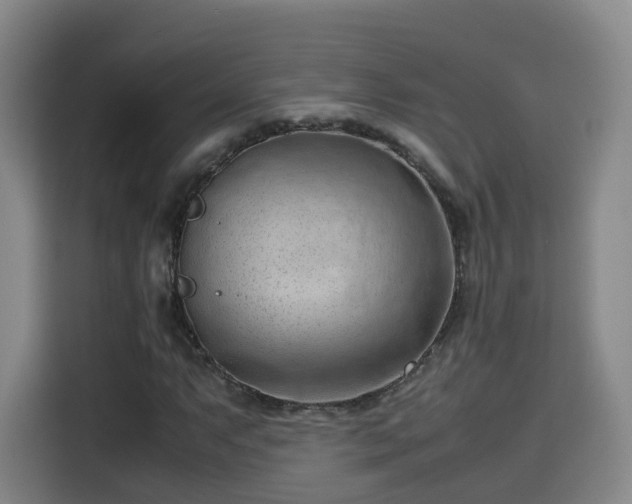 X0000115801063200911201353