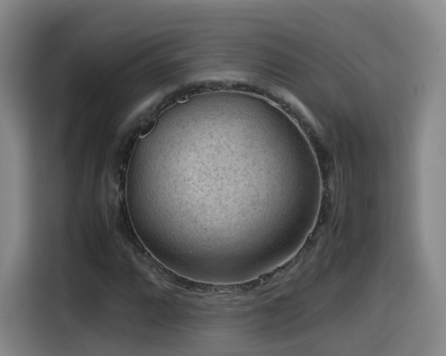 X0000115801064200911201353