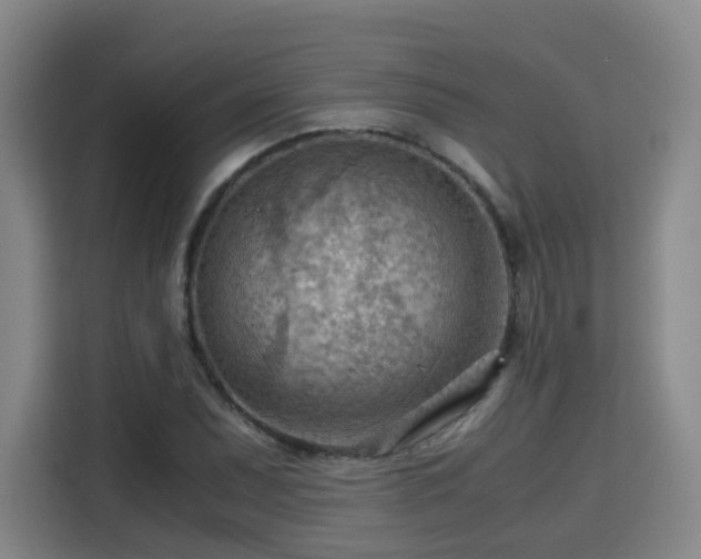 X0000115801071200911201353