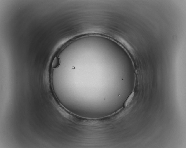 X0000115801072200911201353