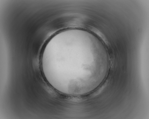 X0000115801074200911201353