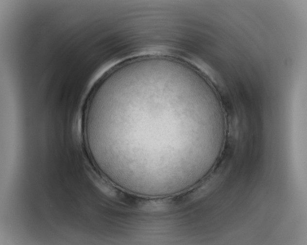 X0000115801078200911201353