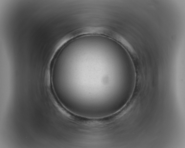 X0000115801079200911201353