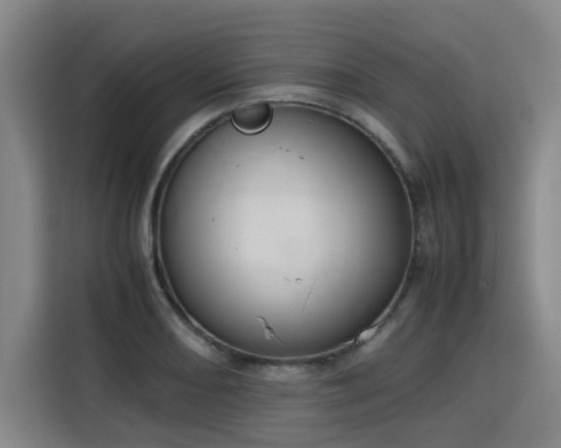 X0000115801082200911201353