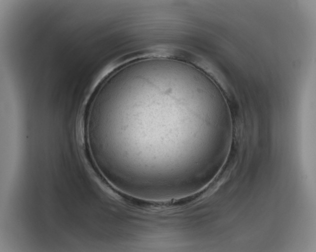 X0000115801083200911201353