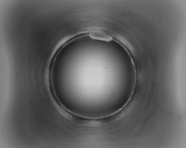 X0000115801085200911201353