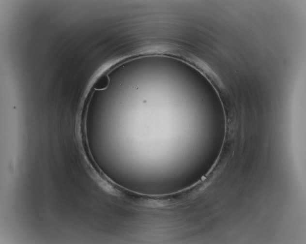 X0000115801086200911201353