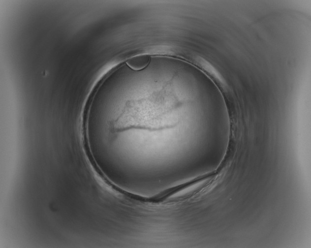 X0000115801087200911201353
