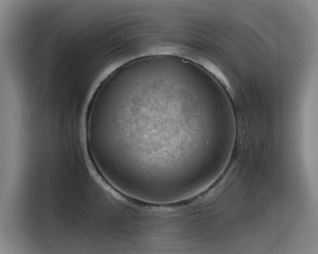 X0000115801088200911201353