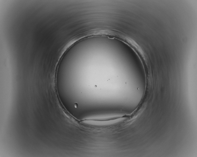 X0000115801089200911201353