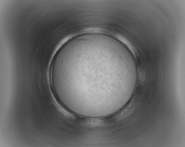 X0000115801090200911201353