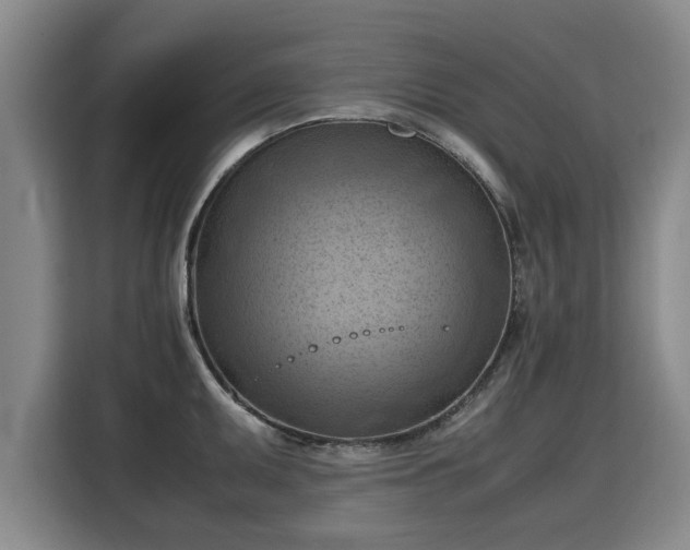 X0000115801095200911201353